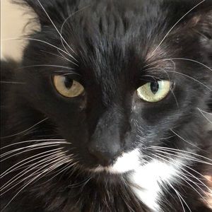 Meet your Posher, Debora